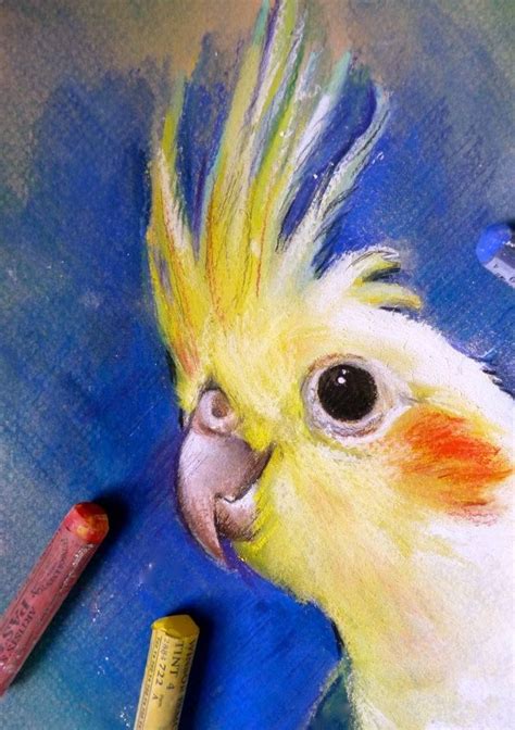 Animal Drawings in Pastel — Jennifer Frith, Artist & Illustrator | Oil ...