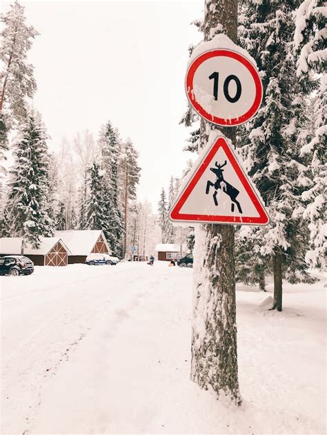 Photo of Road Signs Covered in Snow · Free Stock Photo