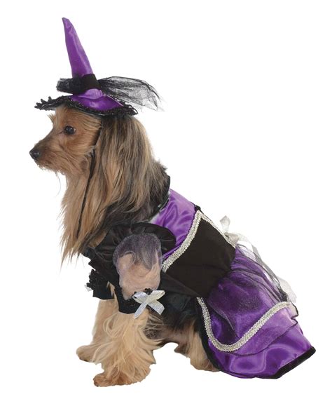 Purple Witch Dog & Cat Pet Costume - Pet Costume Center