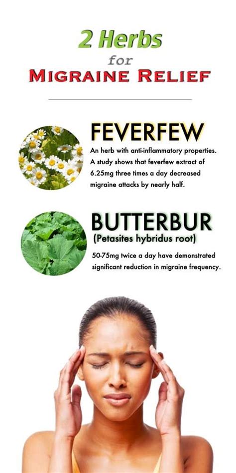 Herbs are commonly used to provide relief from migraines. Feverfew and butterbur are remedies ...