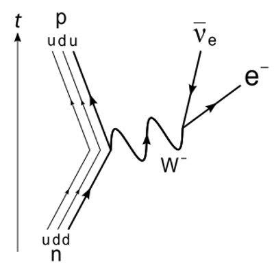 The Feynman diagram for β− decay of a neutron into a proton, electron, and electron antineutrino ...