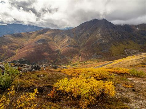 Wilderness Tourism Association of the Yukon | Legacy Tourism Group