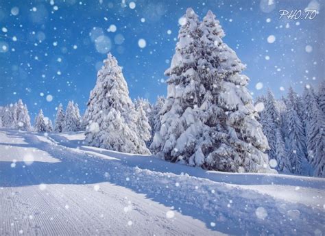 Snow Falling Winter Scene Wallpapers - Wallpaper Cave