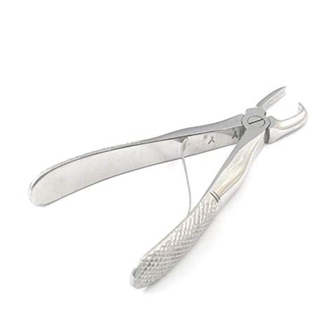 Best Dog Tartar Removal Tool, According To Vets