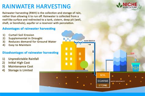 Rainwater Harvesting- Advantages and Disadvantages