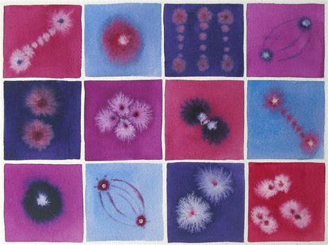 Cell Division Purple 2 - Original Watercolor Painting | Biology art, Original watercolor ...