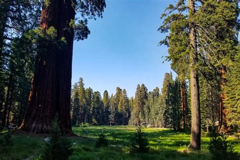 Sequoia National Forest Camping Guide | Outdoor SoCal