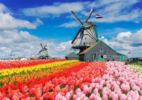 The Netherlands Tulip Trail | Spring's Floral Beauty - Reawaken Adventure