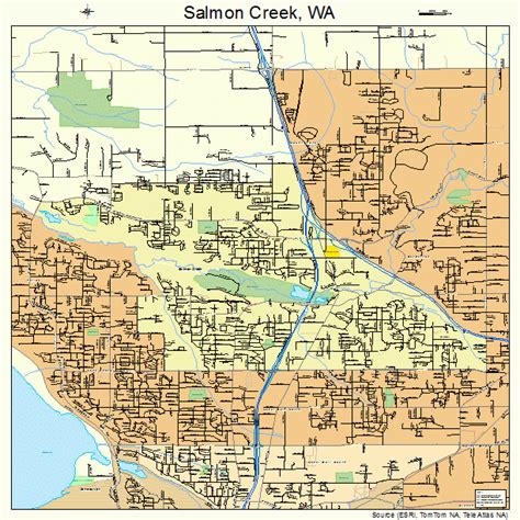 Salmon Creek Washington Street Map 5361000