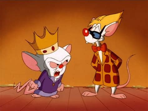 Episode 11 (Elmyra): Mr. Doctor/That's Edutainment! | Animaniacs Wiki | Fandom