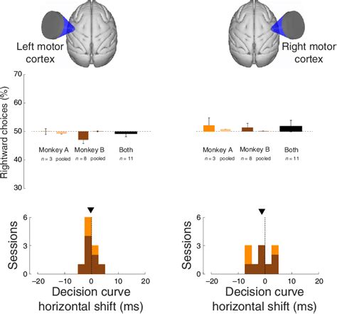 Stimulation of motor cortex had no effect on choice behavior. Same... | Download Scientific Diagram