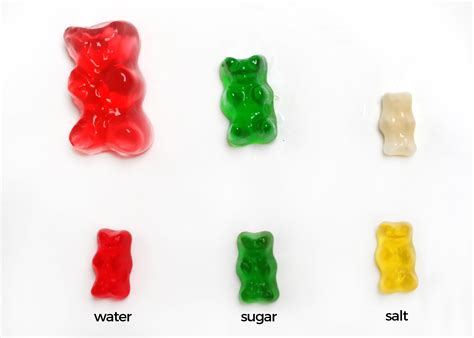 Gummy Bear Science Experiment Procedure