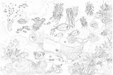 Printable Underwater World Coloring Page  Mimi Panda sketch template