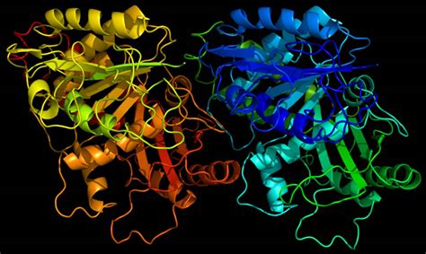 Tubulin Esthetics - Famous Proteins in Frames