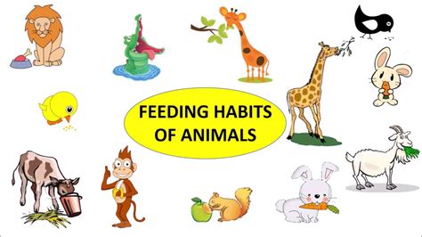 Top 100 + Animals and their feeding habits - Lestwinsonline.com