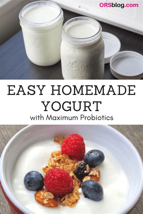 Recipe: How to Make Homemade Yogurt for Maximum Probiotics - Organic ...