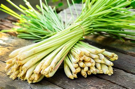 Lemongrass Benefits - List of Health Benefits from Lemongrass / "Tanglad"