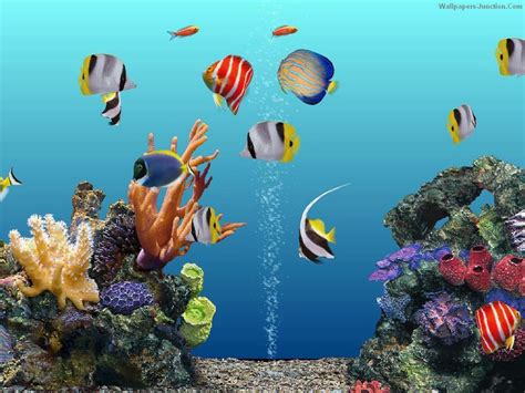 Lovely Wallpaper Laptop Bergerak Aquarium Download - Screensaver Aquarium Windows 7 Free ...