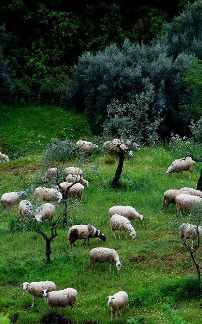 Arcadia Greece - Nymphs Naiads and Dryads - Greeker than the Greeks