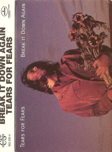 Tears For Fears - Break It Down Again (1993, Cassette) | Discogs