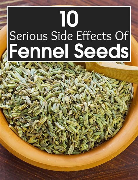 What Are The Side Effects Of Fennel Seeds? | Fennel seeds, Fennel seeds side effects, Fennel recipes