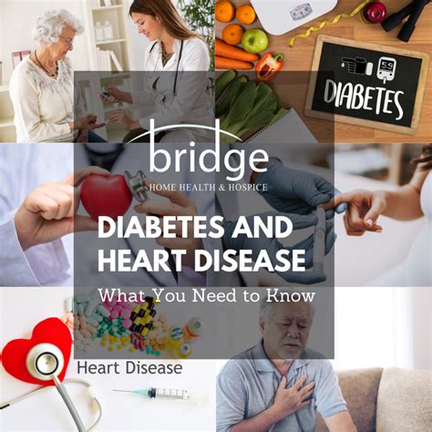 What You Need to Know About Diabetes and Heart Disease - Bridge Home Health & Hospice