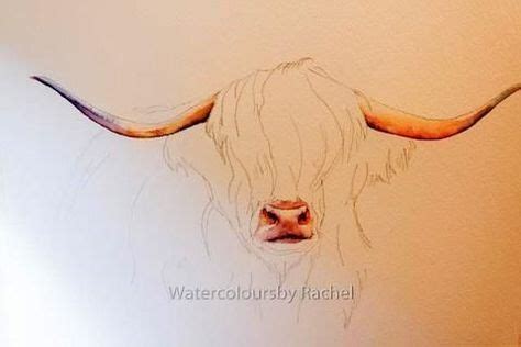 Cow painting - Love painting How to paint a highland cow in 7 easy steps – Cow painting ...