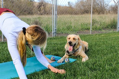 What are the benefits of Dog Yoga?