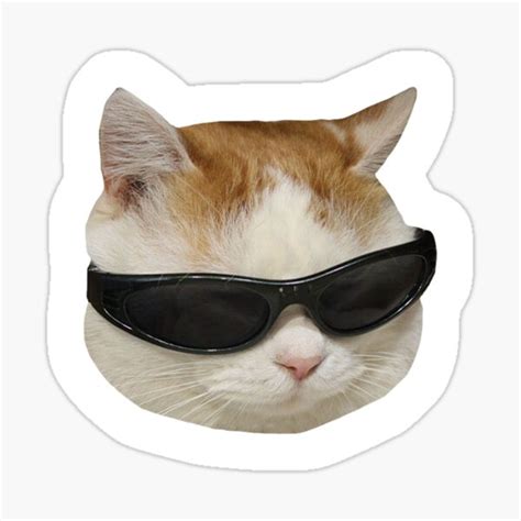 "Sunglasses Cat Meme #4 (White Outline)" Sticker for Sale by cat ...