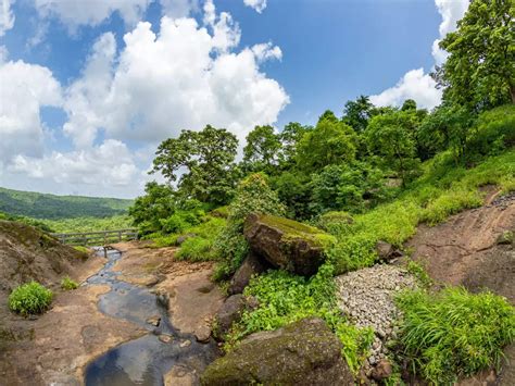 Sanjay Gandhi National Park, a natural beauty within the city of Mumbai, Mumbai - Times of India ...