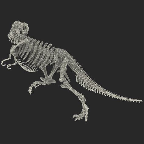 Dinosaur T-Rex Bones 3D Model $99 - .c4d .max .obj .lwo .3ds .ma - Free3D