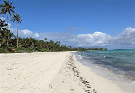 Caerula Mar Club beach, Andros, Bahamas - Ultimate guide (November 2024)