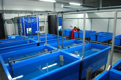 Turn key fish hatchery solutions for many fish species - Aquaculture ID