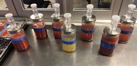 Fermentation Experimentation: Principles Behind Fermentation | Institute of Culinary Education