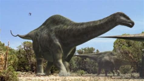 Apatosaurus Pictures & Facts - The Dinosaur Database