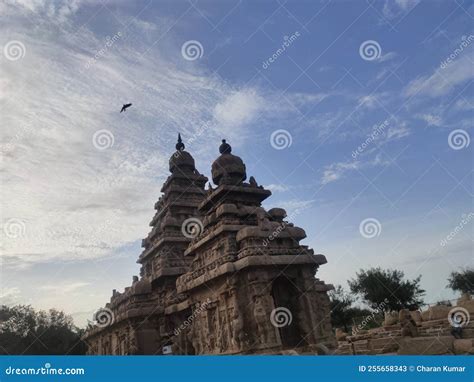 Shore temple mahabalipuram stock image. Image of landmark - 255658343