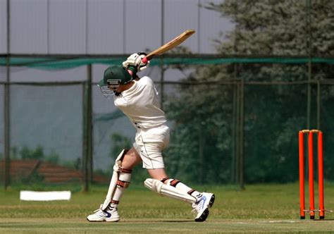 All Cricket Shots - Types of Cricket Shots Batting Technique Explained