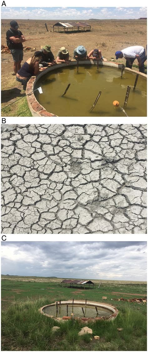 | Contrasting conditions in and around Meadows pan habitat (location... | Download Scientific ...