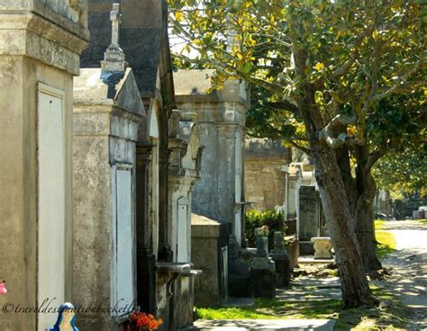 Cemetery tours in New Orleans | New orleans travel, New orleans, Places to visit