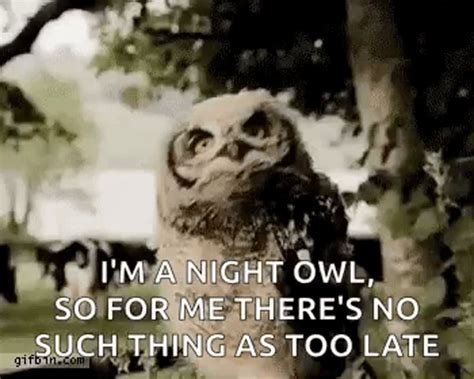 √ダウンロード night owl meme 229007-Not a night owl meme