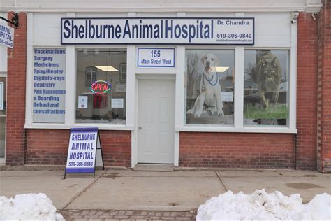 Shelburne Animal hospital