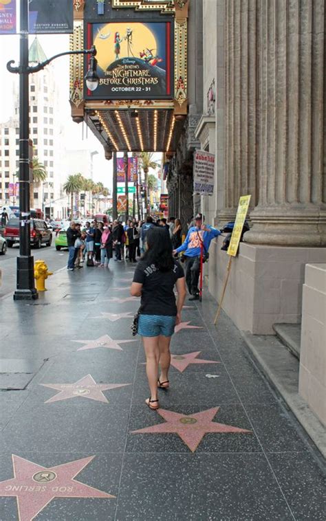 Visit the Hollywood Walk of Fame in 2023 | Hollywood walk of fame, Walk ...