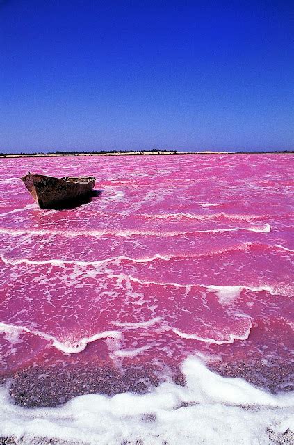 Fieggentrio: Lake Retba (Senegal)