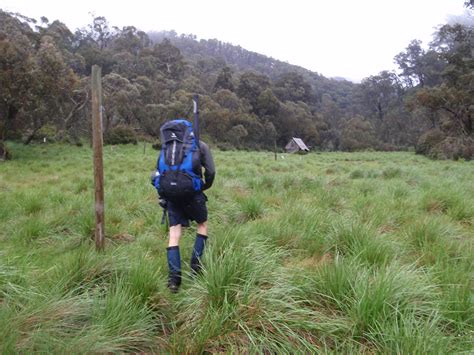 Backcountry Trout Fishing Trip report - Cobungra River, Victoria