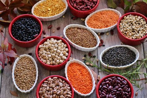 ALL ABOUT LEGUMES