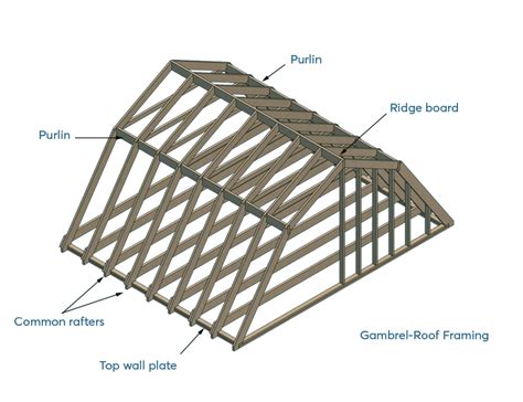 Shed Roof: Framing Styles, Terminology and Tips - Shedplans.org (2022)