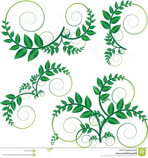 Vine Vector at Vectorified.com | Collection of Vine Vector free for ...