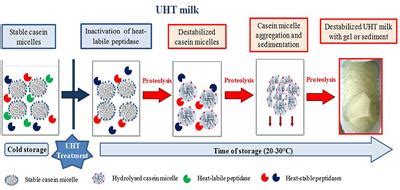 Frontiers | The Biodiversity of the Microbiota Producing Heat-Resistant ...