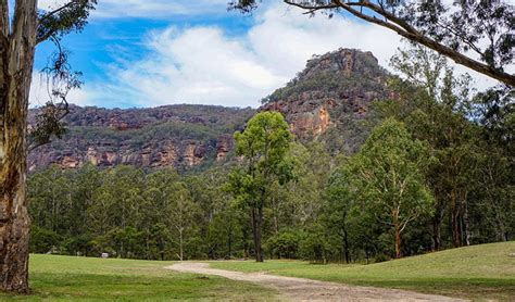 Wollemi National Park | Learn more | NSW National Parks