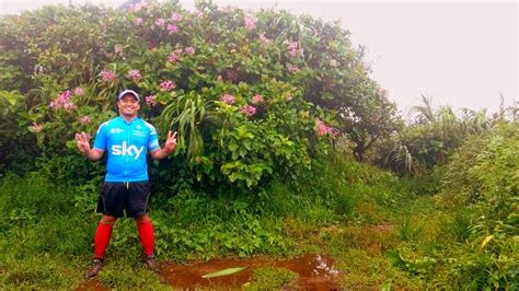 Hiking : Mt. Makiling (UPLB Trail)